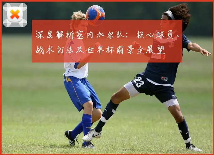 深度解析塞内加尔队：核心球员、战术打法及世界杯前景全展望